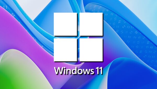 Windows 11