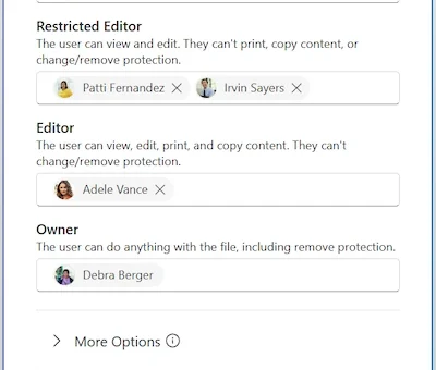Microsoft Office sensitivity labels.webp
