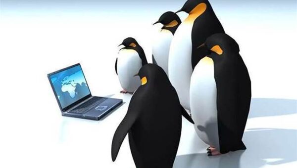 Another serious Linux local privesc bug surfaces