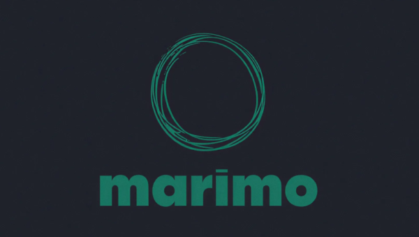 Attackers Use LLM Agent for Post-Exploitation After Marimo CVE-2026-39987 Exploit