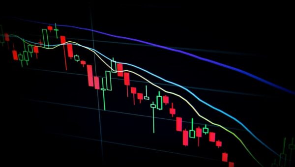 Closing the Gap: The Regulatory and Structural Maturation of Digital Assets