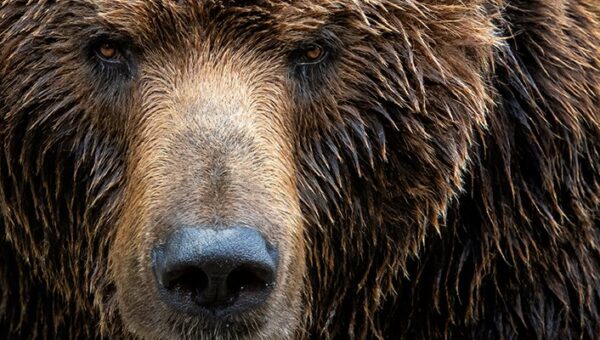 IDCA datacentres report: Global concentration and the Goldilocks zone