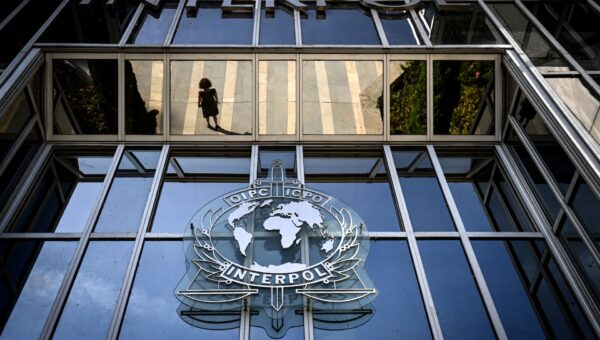 Interpol leads cybercrime crackdown across 13 countries in Middle East, North Africa
