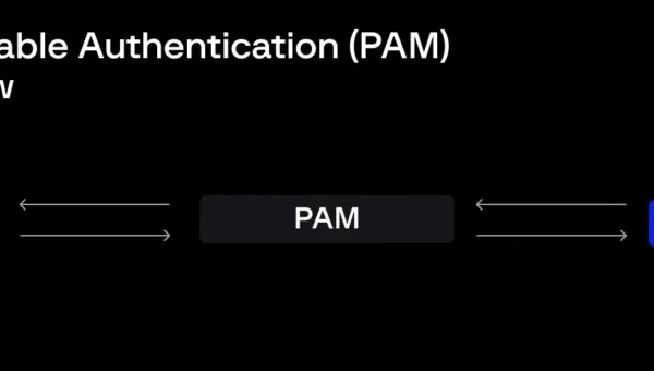 Simplified PAM workflow (Source - Gorup-IB)