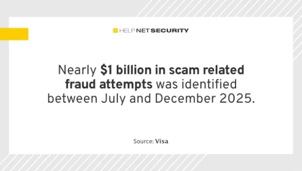 Visa consumer payment fraud.webp