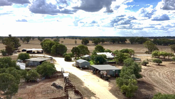 WFI says only a quarter of Australian farmers are considering cyber insurance