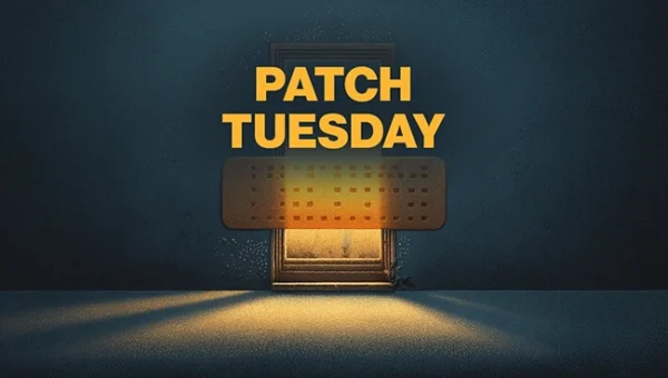 patch tuesday 650.webp