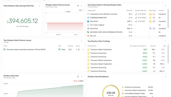 Introducing Shadow Data Discovery in Wiz