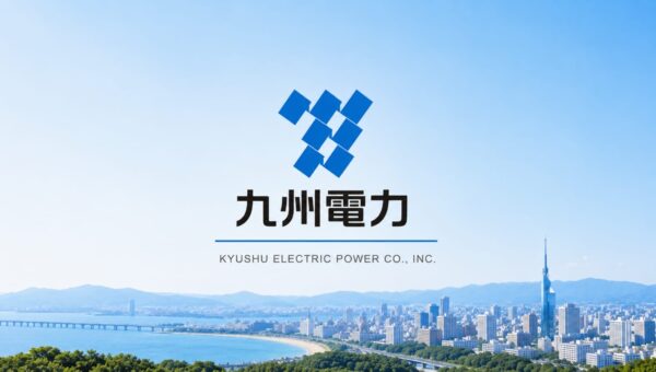 Japanese energy firm loses drive with data of 10.9 million clients