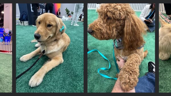 Reporting from Vegas: Networking, AI, and good boys