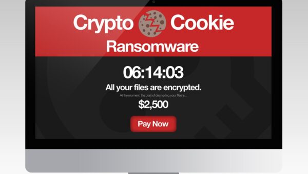 Security Awareness Training - Ransomware on desktop