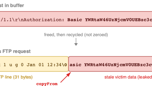 Squidbleed: 29-Year-Old Squid Bug Leaks User Credentials
