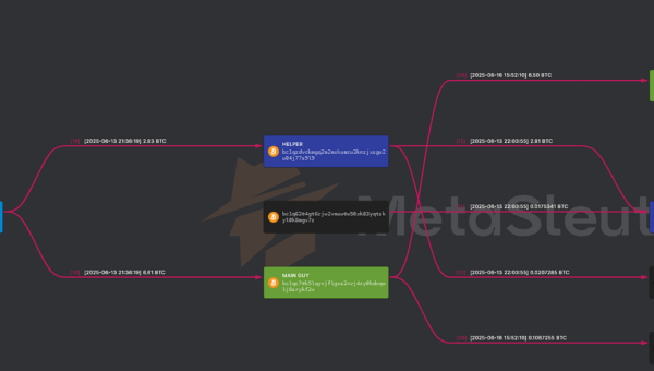 U.S. Government Agency Paid $1M to Data Extortion Group Kairos