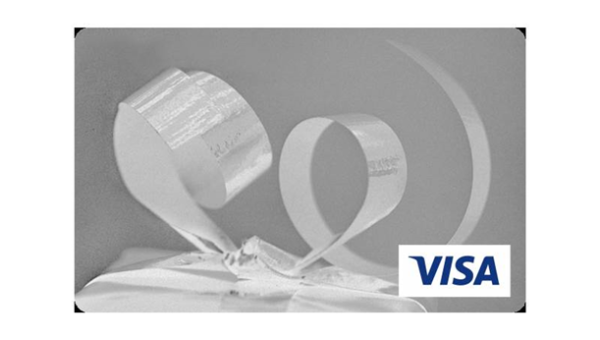 Visa snaps up BioCatch