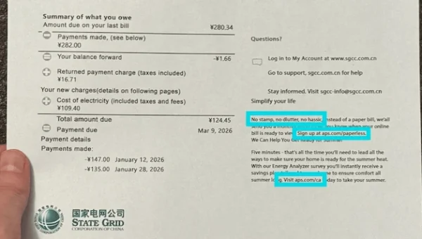 north korean remote workers jobs.webp