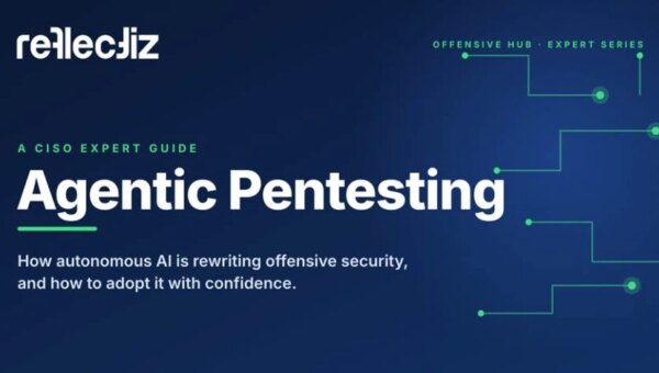 CISO's Expert Guide to Agentic Pentesting for Websites