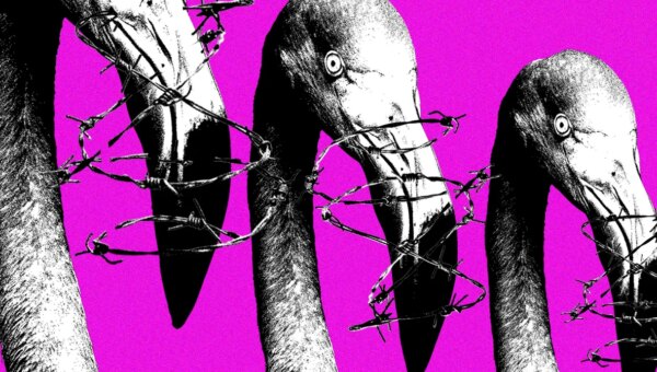 Meta’s Copyright System Is Being Weaponized Against Albanian Protesters
