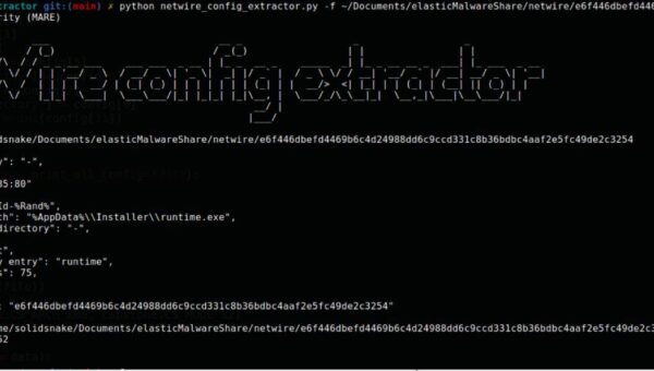 NETWIRE configuration extractor
