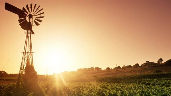 DAFF’s export systems modernisation skips big-bang replacement