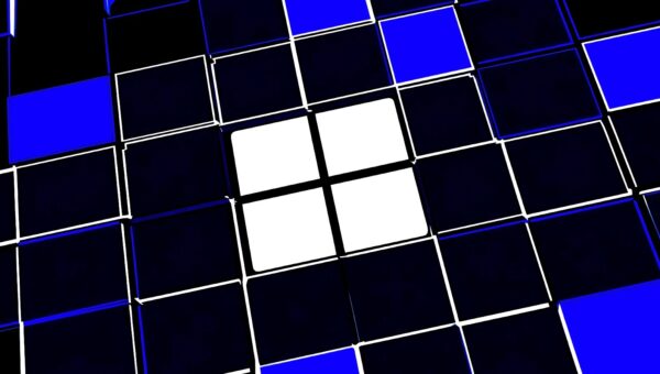 Windows 11