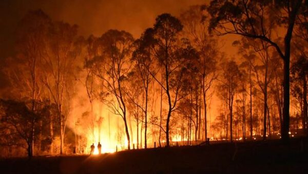 NSW National Parks web app accessed by OpenAI agent