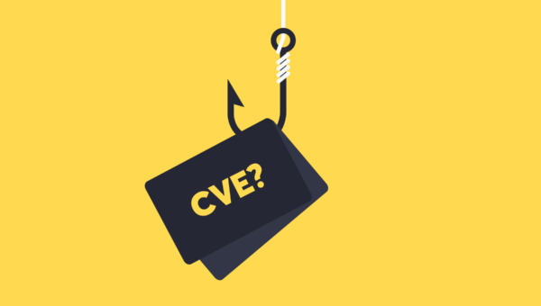 Non-CVE Vulnerabilities: How to detect what scanners miss