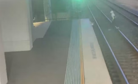 TfNSW's 'Project Guardian' senses rail corridor, highway incursions