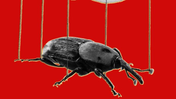 The PHP Meltdown Shows How AI Makes Bugs More Exploitable