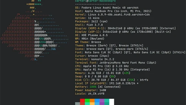 fastfetch 650.webp